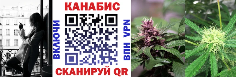 где купить наркоту  Правдинск  МАРИХУАНА Bruce Banner 
